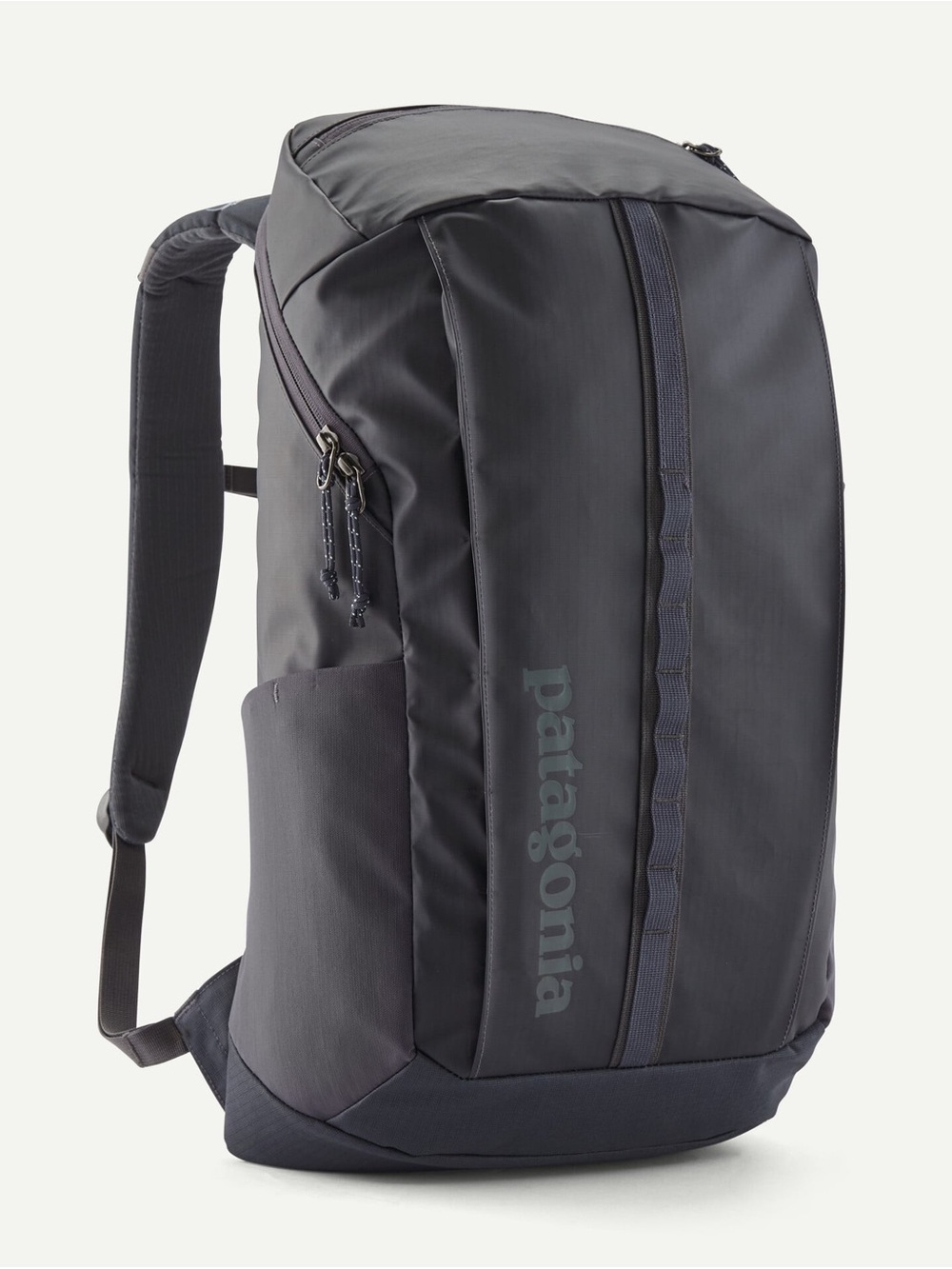 NWOT Patagonia Black Hole Pack 25L